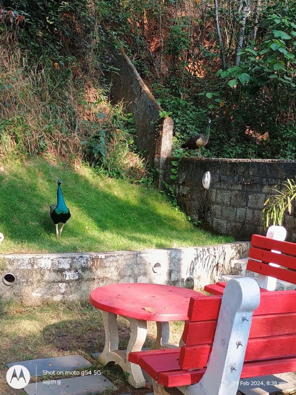 Vip Garden Resort Varkala Dış mekan fotoğraf